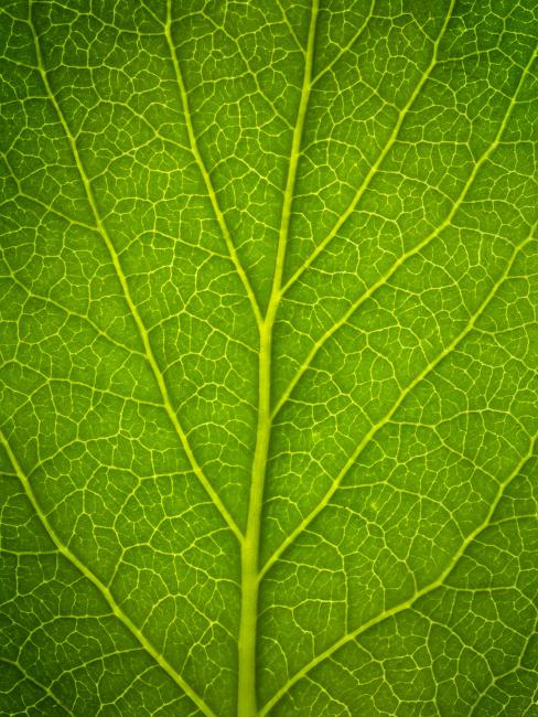 fotografie product studiofotografie