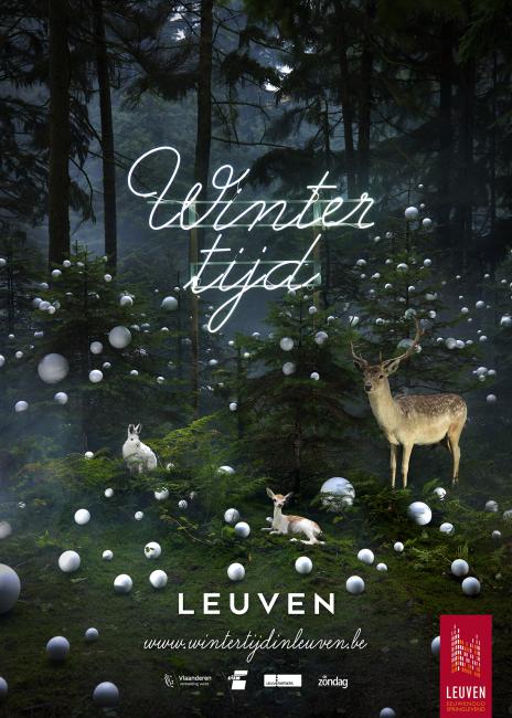 fotografie stad leuven